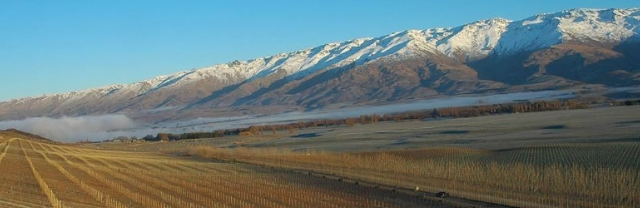 QuarzReefCentralOtago